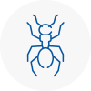 Ant Removals In Clitheroe