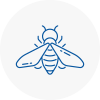 Bee Nest Removal Clitheroe