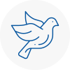 Bird Prevention Clitheroe