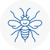 Clitheroe Hornet Nest Removals