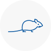 Mice Exterminators In Clitheroe
