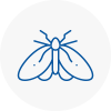 Moth Control Specialists In Clitheroe