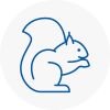 Clitheroe Rodent Removals